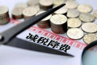 服務業企業所得稅減稅方案的選擇與實施策略